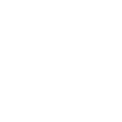 NAVIWOOD X